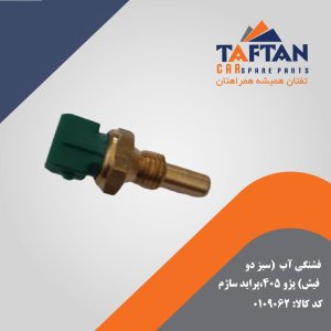 فشنگی آب پژو 405 و پراید